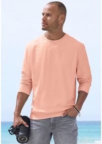 Langarmshirt John Devin, Damen, Gr. 3XL (64/66), apricot, Jersey, Obermaterial: 60% Baumwolle, 40% Polyester, unifarben, regular fit, Rundhals, Rippb&uuml;ndchen, Shirts Langarmshirt, in Struktur-Qualit&auml;t und in modischen Farben