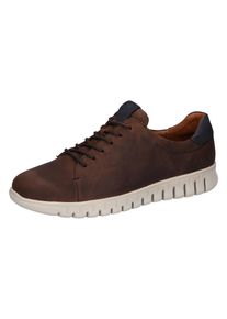 Waldl&auml;ufer Sneaker WALDL&Auml;UFER "H-Baldo", Herren, Gr. 7,5 (41), braun (dunkelbraun, dunkelblau), Nubukleder, kontrastfarbene Details, Schuhe Sneaker, Schn&uuml;rschuh, Freizeitschuh mit proaktiv-Lederinnensohle, H-Weite