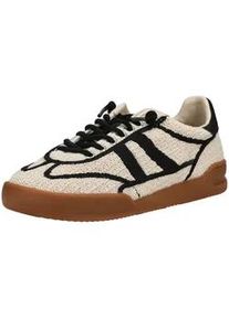 Sneaker Steve Madden "Steve Madden Sneaker Textil", Herren, Gr. 38, beige, schwarz, Textil, Schuhe Sneaker