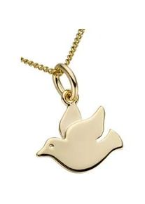 Kettenanh&auml;nger Firetti "Schmuck Geschenk Gold 333 Halsschmuck Anh&auml;nger f&uuml;r Halskette Taube", gold (gelbgoldfarben), Schmuckanh&auml;nger, Damen, Gelbgold 333, 0,4 g, Kettenanh&auml;nger