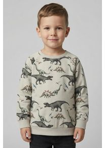 Sweatshirt name it "NMMBERTIL LS NREG SWEAT BRU", Jungen, Gr. 92, pumice stone, angeraute Sweatware, Obermaterial: 95% Baumwolle, 5% Elasthan, bedruckt, normal normal, Rundhals, Rippb&uuml;ndchen, Sweatshirts Sweatshirt