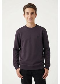 Sweatshirt Tom Tailor, Jungen, Gr. 140, grau (coal grau), Sweatware, Obermaterial: 100% Baumwolle, unifarben, regular fit normal, Rundhals, B&uuml;ndchen, Sweatshirts Sweatshirt, mit Logo-Badge