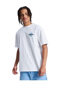 T-Shirt DC Shoes "Blur Mark", Herren, Gr. S, wei&szlig;, Obermaterial: 75% Walkfrottier, 25% Walkfrottier;, Shirts T-Shirt