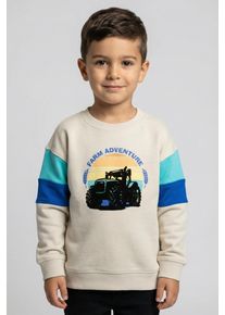 Sweatshirt Blue Seven, Jungen, Gr. 98, kiesel, Sweatware, Obermaterial: 100% Baumwolle, bedruckt, Basic normal, Rundhals, Rippb&uuml;ndchen, Sweatshirts Sweatshirt