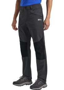 Trekkinghose Jack Wolfskin "HIKING ALPINE PANTS M", Herren, Gr. 46, Normalgr&ouml;&szlig;en, grau (phantom), Obermaterial: 87% Polyester, 13% sonstige Fasern, Hosen Trekkinghose