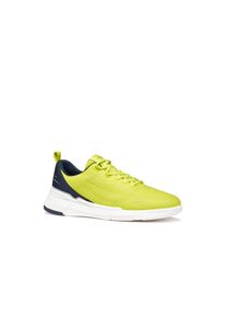Sneaker Geox "U VITTOUR", Herren, Gr. 41, gelb, navy, Lederimitat, Textil, Schuhe Sneaker, Halbschuh, Freizeitschuh, Schn&uuml;rer mit Kontrastbesatz