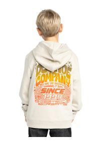 Hoodie DC Shoes "Hot Box", Jungen, Gr. 14(155-164cm), beige (pelican), Obermaterial: 55% Walkfrottier, 25% Walkfrottier, 20% Microfaser;, Sweatshirts Hoodie