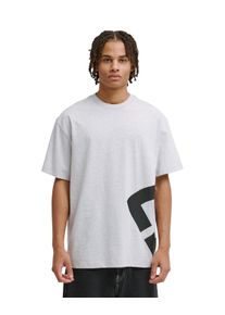 T-Shirt DC Shoes "DC Lanai", Herren, Gr. XS, light erdgrau, Obermaterial: 75% Walkfrottier, 25% Walkfrottier;, Shirts T-Shirt