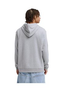 Kapuzensweatshirt DC Shoes "Vantura", Herren, Gr. S, light erdgrau, Obermaterial: 80% Walkfrottier, 20% Microfaser;, Sweatshirts Kapuzensweatshirt