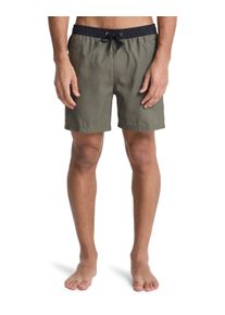 Boardshorts Quiksilver "Everyday Holmes Volley 16", Herren, Gr. XXL, grape leaf holmes, Obermaterial: 100% Microfaser;, Hosen Boardshorts