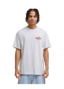 T-Shirt DC Shoes "Blur Mark", Herren, Gr. XS, light erdgrau, Obermaterial: 75% Walkfrottier, 25% Walkfrottier;, Shirts T-Shirt