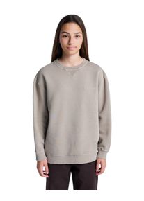 Sweatshirt Element "Lowcase Pigment", Jungen, Gr. 8(125-130cm), aluminum, Obermaterial: 50% Walkfrottier, 30% Walkfrottier, 20% Microfaser;, Sweatshirts Sweatshirt