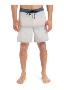 Boardshorts Quiksilver "Surfsilk Straight Leg 18", Herren, Gr. 30S, wind chime connect, Obermaterial: 88% Microfaser, 12% Elasthan;, Hosen Boardshorts
