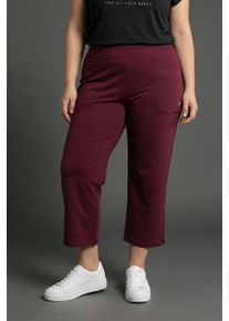 3/4-Hose FAYN SPORTS, Damen, Gr. 40, N-Gr, bordeaux, Single Jersey, Obermaterial: 95% Baumwolle, 5% Elasthan, bequem 3/4-L&auml;nge, Hosen 3/4-Hose, mit elastischem Bund auch in gro&szlig;en Gr&ouml;&szlig;en