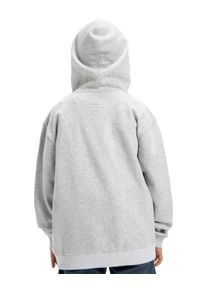 Hoodie DC Shoes "Substitute", Jungen, Gr. 10(140-148cm), grau (light erdgrau), Obermaterial: 55% Walkfrottier, 25% Walkfrottier, 20% Microfaser;, Sweatshirts Hoodie