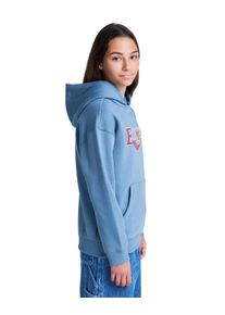Hoodie Element "Curb Care", Jungen, Gr. 14(155-164cm), blau mirage, Obermaterial: 55% Walkfrottier, 25% Walkfrottier, 20% Microfaser;, Sweatshirts Hoodie