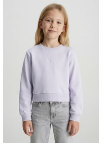Sweatshirt Calvin Klein Jeans "CREWNECK SWEATSHIRT", M&auml;dchen, Gr. 12 (152), island lila, Sweatware, Obermaterial: 100% Baumwolle, unifarben, regular fit, Rundhals, eingesetzt B&uuml;ndchen, Sweatshirts Sweatshirt, Regular fit f&uuml;r Kinder mit Rundhalsausschnitt