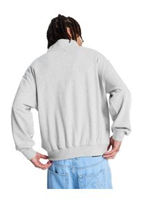 Sweatshirt DC Shoes "Flow Down", Herren, Gr. M, light erdgrau, Obermaterial: 75% Walkfrottier, 25% Walkfrottier;, Sweatshirts Sweatshirt