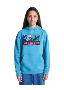 Hoodie Element "Memory", Jungen, Gr. 16(165-172cm), brittany blau, Obermaterial: 55% Walkfrottier, 25% Walkfrottier, 20% Microfaser;, Sweatshirts Hoodie