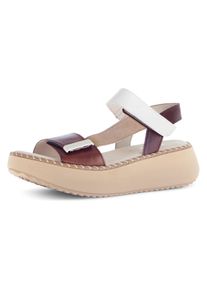 Sandalette Gabor, Damen, Gr. 41, braun (camelfarben kombiniert), Leder, Ziegenveloursleder, Schuhe Sandalette, Plateau, Riemchensandale mit Keilabsatz