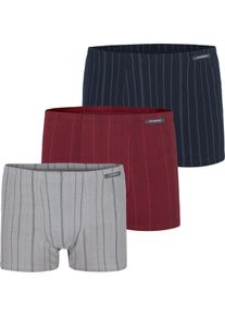 Retro Pants Jan Vanderstorm "3er Pack Retropant LEONELL", Herren, Gr. L-XL, blau (blau grau rot), Obermaterial: 95% Baumwolle CO. 5% Elasthan EL., Unterhosen Retro Pants