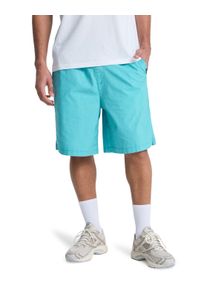 Shorts Quiksilver "Taxer 19", Herren, Gr. XXL, aqua, Obermaterial: 98% Walkfrottier, 2% Elasthan;, Hosen Shorts