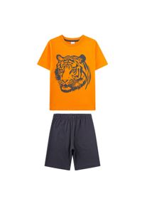 Schlafanzug Sanetta "Pyjama Schlafanzug Tiger kurz Kids", Jungen, Gr. 140, bunt (orange, schwarz), Obermaterial: 100% Baumwolle CO., Homewear-Sets Schlafanzug