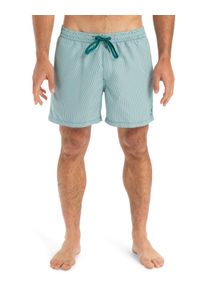 Boardshorts Quiksilver "Everyday Deluxe 15", Herren, Gr. XS, gr&uuml;n (teal gr&uuml;n), Obermaterial: 70% Microfaser, 30% Microfaser;, Hosen Boardshorts