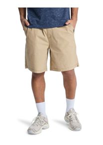 Shorts Quiksilver "Taxer 19", Herren, Gr. M, khaki, Obermaterial: 98% Walkfrottier, 2% Elasthan;, Hosen Shorts