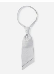 Krawatte MONTI "ALESSIO", Herren, silber (silber mit paisley, muster), Viskosemischung, festlich, Krawatten Krawatte, Hochzeits-Plastron, mit festlichem Paisley-Muster