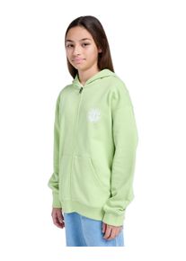 Hoodie Element "Seal BP", Jungen, Gr. 14(155-164cm), gr&uuml;n (lettuce gr&uuml;n), Obermaterial: 70% Walkfrottier, 30% Walkfrottier;, Sweatshirts Hoodie