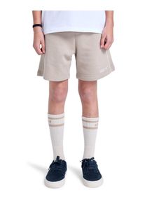 Shorts Element "Cornell 90s 15.7", Jungen, Gr. 10(140-148cm), grau (aluminum), Obermaterial: 55% Walkfrottier, 25% Walkfrottier, 20% Microfaser;, Hosen Shorts