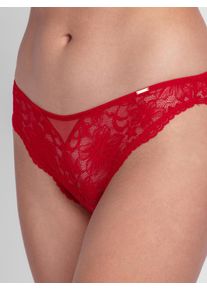Slip Dorina "Jemma BRIEF", Herren, Gr. M, rot, Obermaterial: 87% Polyamid, 13% Elasthan, k&ouml;rpernah, Unterhosen Slip, florale Spitze, Mesh, elastisch, feminin