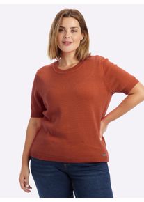 sheego Gro&szlig;e Gr&ouml;&szlig;en Kurzarmpullover mit Rippabschl&uuml;ssen, rostrot, Gr&ouml;&szlig;e 54 - Damen