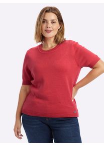 sheego Gro&szlig;e Gr&ouml;&szlig;en Kurzarmpullover mit Rippabschl&uuml;ssen, korallenrot, Gr&ouml;&szlig;e 48 - Damen