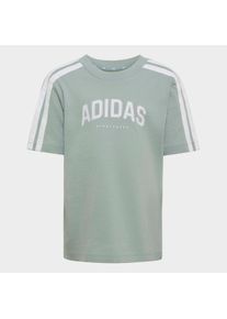 Trainingsanzug adidas Sportswear "ADIDAS COLLEGIATE KIDS SET", Jungen, Gr. 98, wonder sage, Obermaterial: 100% Baumwolle. Obermaterial Hose: 100% Polyester, Sportanz&uuml;ge Trainingsanzug
