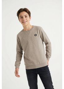 Sweatshirt name it "NKMVIMO f&uuml;r Jungen mit B&uuml;ndchen und klassischer Form", Jungen, Gr. 158/164, beige (pure cashmere), angeraute Sweatware, Obermaterial: 60% Baumwolle, 40% Polyester, unifarben, l&auml;ssig geschnitten h&uuml;ftlang, Rundhals, Rippb&uuml;ndchen, Sweatshirts Sweatshirt, unifarben, casual, regular fit, Baumwollmischung, Rundhals