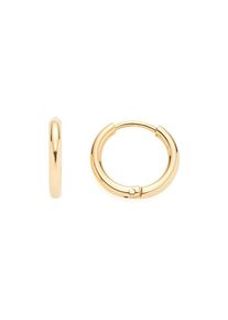 Leonardo Creolen 022071