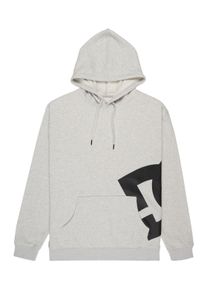 Hoodie DC Shoes "Lanai", Herren, Gr. XXL, light erdgrau, Obermaterial: 55% Walkfrottier, 25% Walkfrottier, 20% Microfaser;, Sweatshirts Hoodie