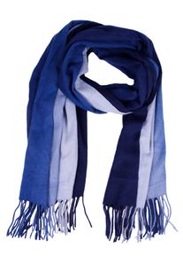 Modeschal Capelli New York, Damen, navy combo, Twill, Polyester, mehrfarbig, Modet&uuml;cher Modeschal, mit Fransen, Farbverlauf, w&auml;rmend