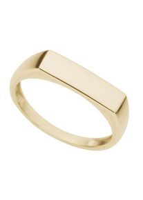 Siegelring Firetti "Schmuck Geschenk Gold 333 Herrenring Fingerring Goldring" Gr. 17, gold (gelbgoldfarben), Fingerringe, Damen, 17, Gelbgold 333, Siegelring