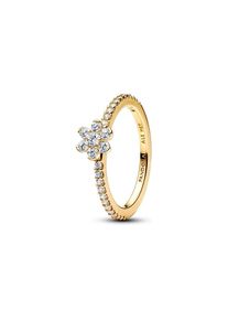 Pandora Damenring Timeless 164499C01-58