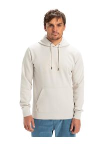 Kapuzensweatshirt Quiksilver "Comp Logo", Herren, Gr. L, beige (wind chime), Obermaterial: 60% Walkfrottier, 40% Microfaser;, Sweatshirts Kapuzensweatshirt