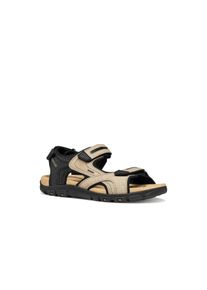Sandale Geox, Damen, Gr. 41, beige, schwarz, Lacklederimitat, Synthetik, Basic, Schuhe Sandale, Sommerschuh, Klettschuh, Outdoorsandale im Trekking-Look
