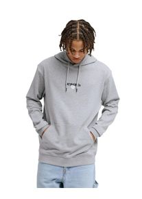 Kapuzensweatshirt DC Shoes "Vantura", Herren, Gr. M, light erdgrau, Obermaterial: 80% Walkfrottier, 20% Microfaser;, Sweatshirts Kapuzensweatshirt