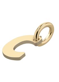 Adelia&acute;s Buchstabenanh&auml;nger ADELIA&acute;S "Unisex Anh&auml;nger &iquest; Buchstabe N Buchstabenanh&auml;nger aus 375 Gold", gold, Schmuckanh&auml;nger, Damen, Buchstabenanh&auml;nger