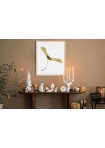 Bild mit Rahmen queence "Ahornsamen", wei&szlig; (farbe rahmen: natur, farbe bild(er): wei&szlig;), B:40cm H:50cm T:1,5cm, Acrylglas, Holzrahmen, Bilder, Bild mit Rahmen, Premium Rahmenbild, liebevolle Handarbeit