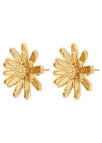 Adelia&acute;s Paar Ohrstecker ADELIA&acute;S "Damen Ohrringe &iquest; Ohrstecker aus Edelstahl", gold, Ohrringe, Damen, Edelstahl, Paar Ohrstecker