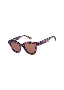 Sonnenbrille Superdry "Modell 996096", Herren, violett havanna, gemustert, leicht durchscheinend, leicht gl&auml;nzend, Sonnenbrillen Sonnenbrille, Form CatEye, Logoschriftzug auf B&uuml;gel, Kunststofffassung