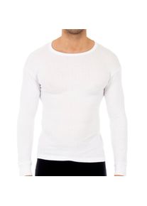 Thermo-Langarm-T-Shirt 0208 Herren